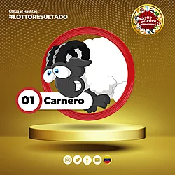 1 CARNERO
