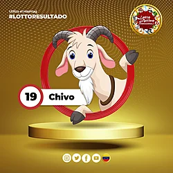 19 CHIVO