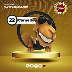 Lotto Activo RD Internacional — 22 CAMELLO
