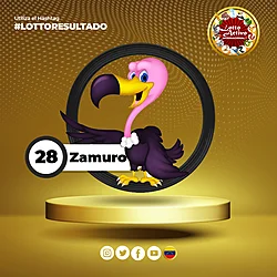 28 ZAMURO
