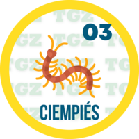 CIEMPIÉS