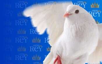 Lottorey resultado del sorteo