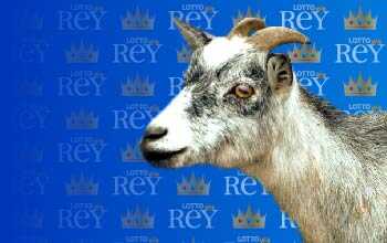 Lottorey resultado del sorteo