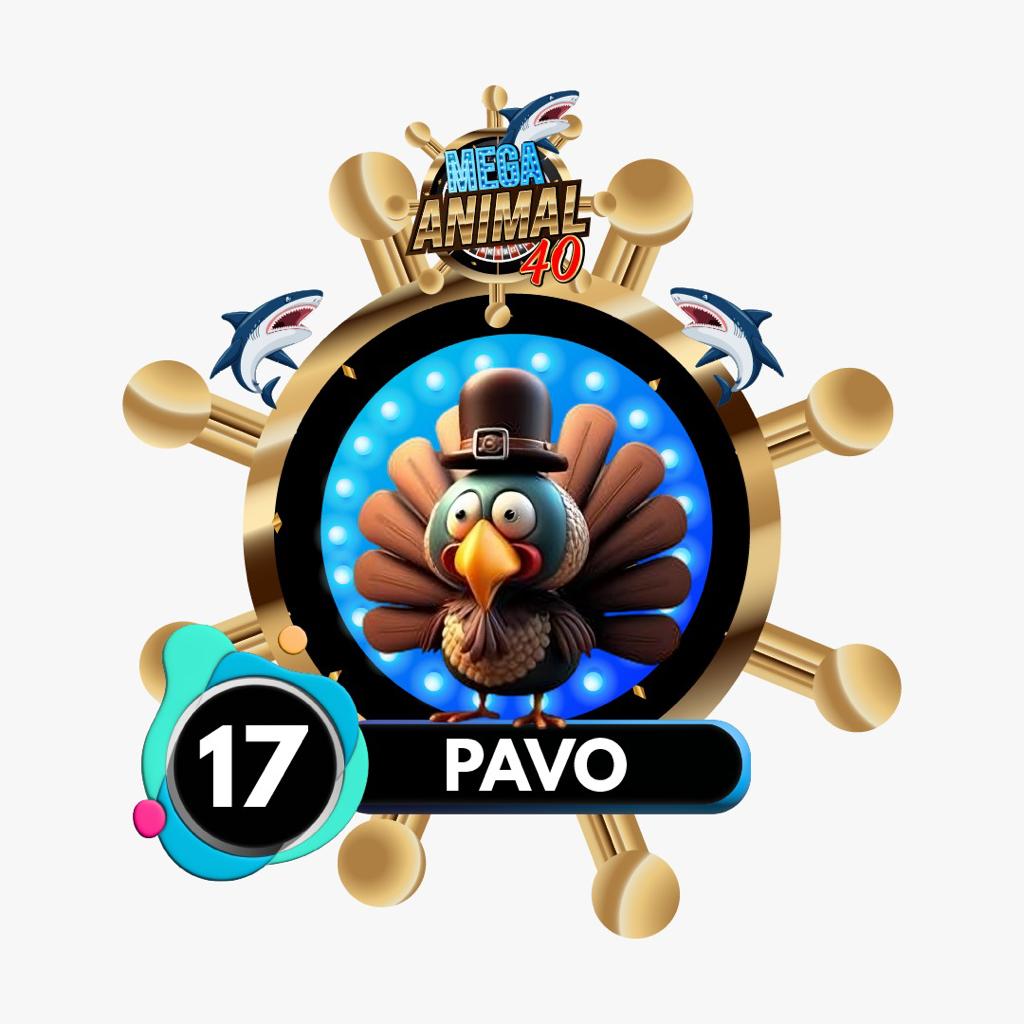 Pavo