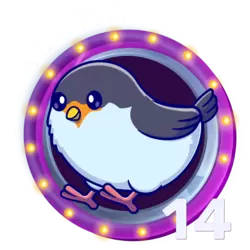 14 PALOMA