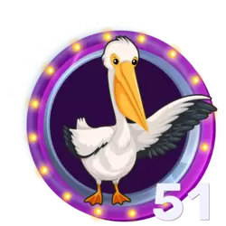 51 PELICANO
