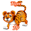 10 - TIGRE