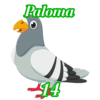14 - PALOMA
