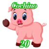 20 - COCHINO