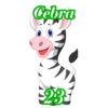 23 - CEBRA