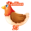 25 - GALLINA