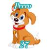27 - PERRO