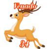 34 - VENADO