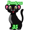 35 - PANTERA