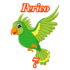 7 - PERICO