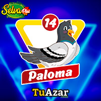 PALOMA