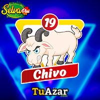 CHIVO