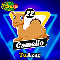 Selva Plus resultado del sorteo