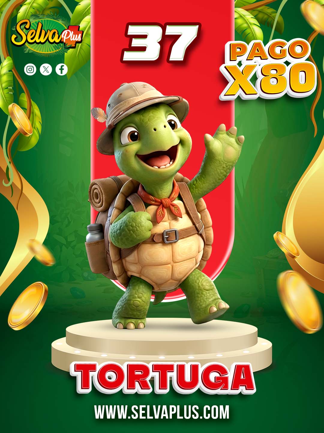 Selva Plus — 37 TORTUGA