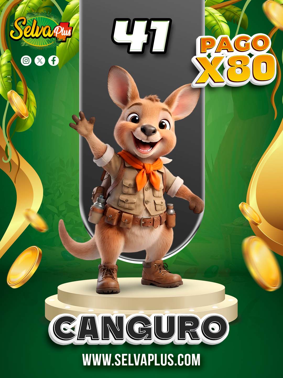 41 CANGURO