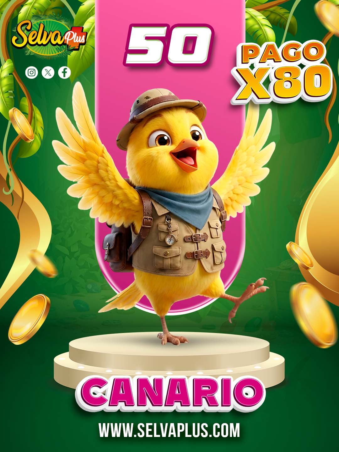 50 CANARIO