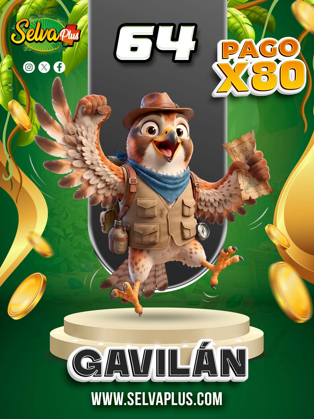 Selva Plus — 64 GAVILÁN