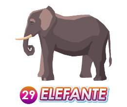 ELEFANTE
