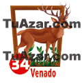 VENADO