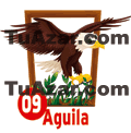 ÁGUILA