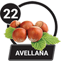 AVELLANA