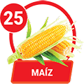 MAÍZ