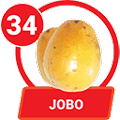 JOBO