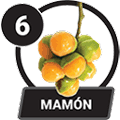 MAMÓN